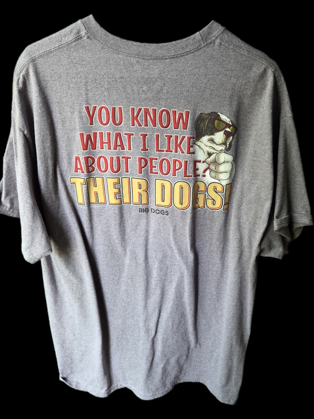 Big Dogs Gray Graphic Tee - "You Know What I Like About People? Their Dogs!"